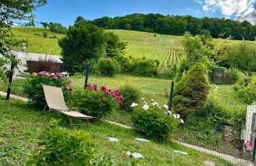 L'Écrin des Arts - appartement avec jardin au coeur de la Côte des Blancs - Foto 22
