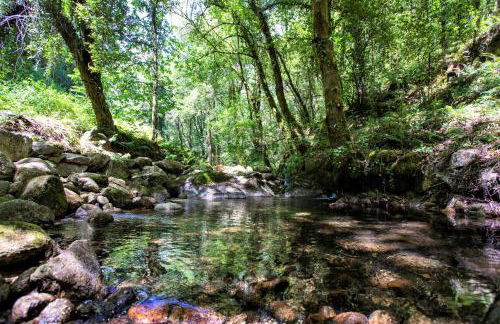 Mill House & Hot Tub extra 15 eur night booked - Foto 75