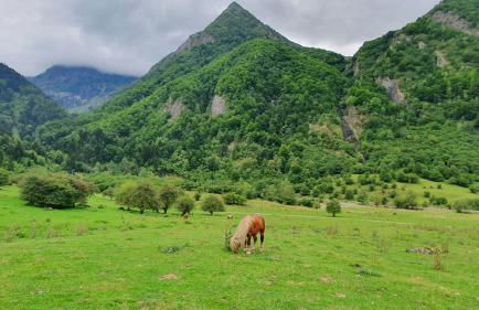 Appartement à la montagne avec vue Imprenable - Foto 20