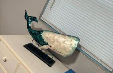 Great Home Close to shops, FIT, Beaches,and Space X - Foto 7