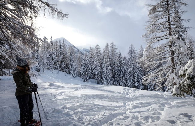 Chalet in Rhone Valley Near Ski Lift - Foto 31