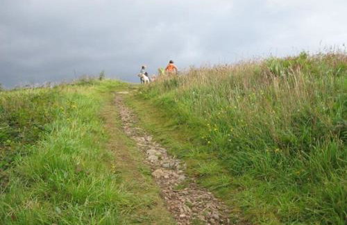 The Coach House within heritage Tregrehan Garden on Cornwall's South Coast - Photo 24
