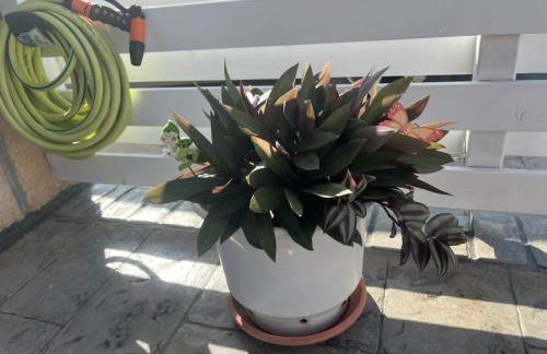 La Casa de Tsampika - Foto 5