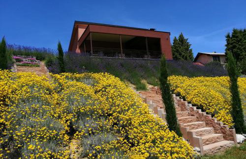 HillTop House - Foto 32