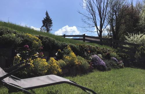 Ferienwohnung Lederhose - Foto 28