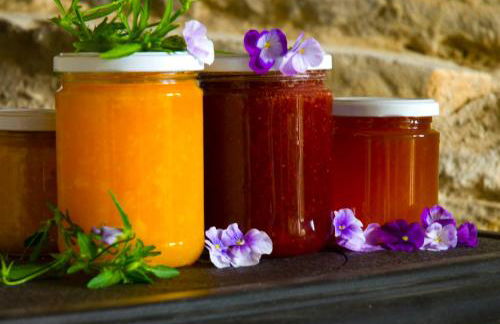 O Chardinet d'a Formiga - Foto 11