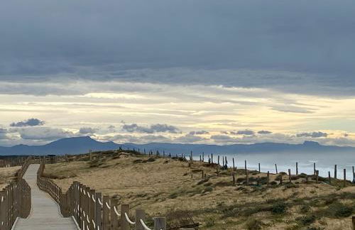 Labenne Ocean - joli appt avec terrasse -T2 300m plage - Foto 29