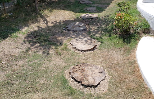 Beautiful Vacation Home Indigo Palomino - Photo 41