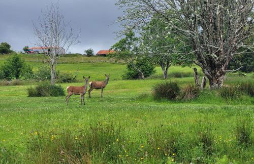 Sound of Durnamuck - Foto 10