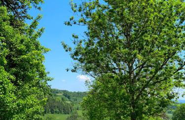 Stilvoll eingerichtetes Studio in historischem Bauernhaus, voll ausgestattet inmitten der Natur auf 75 qm - Foto 28