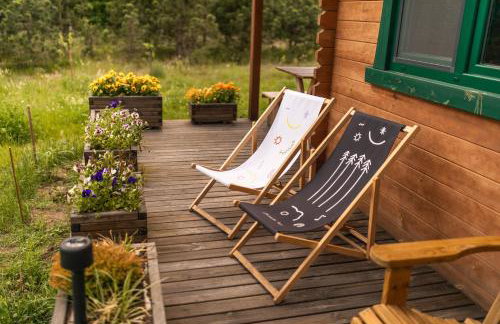 Głuszecki las - Foto 36