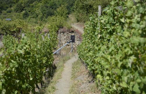 Stiftsherrenhaus - Foto 77