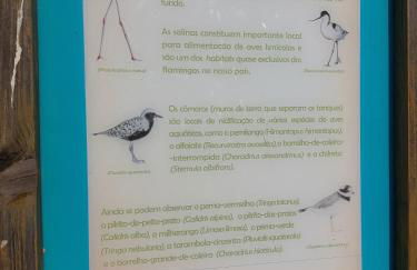 Ancão Beach Apartment - Photo 30