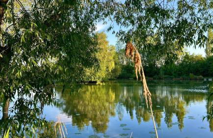 Puddle Duck Cottage - Foto 23