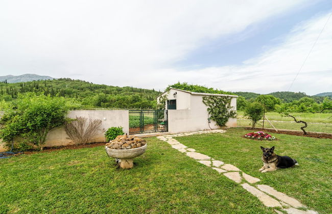 Apartments Dubrovnik Banac - Photo 32