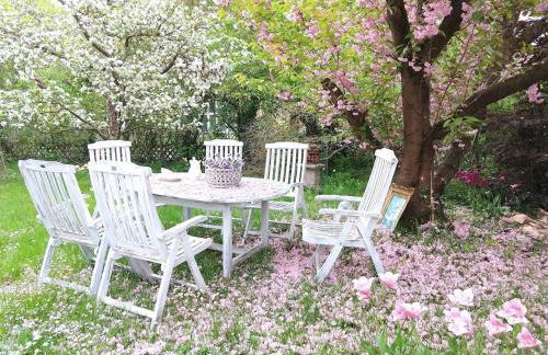 Moderne große Wohnung in herrlichem Naturgrundstück - Foto 30