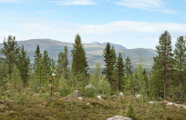 Lofsdalen Lavskrikan - Foto 5