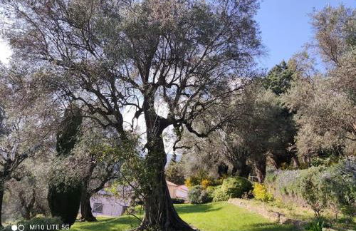 Pool House Renoir with heated pool and private garden - Foto 26