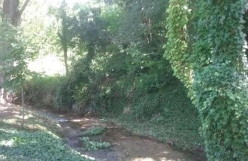 Casa Rural Barangua en el Pirineo Aragonés - Foto 35