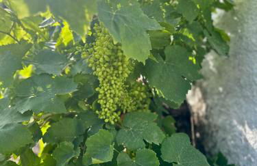 Aegean Endless Summer Villa Pefkos - Foto 48