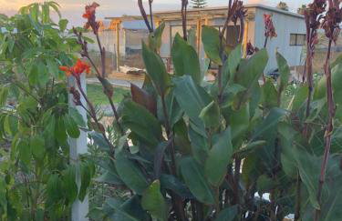 Isabelina Stays near Doñana & the Coast - Foto 24