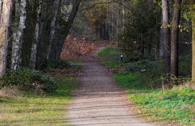 Tail-wagging Lake Escape - Photo 27