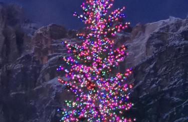 Chalet nel bosco - Photo 42