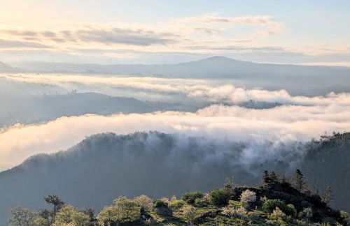 Bela Vista - Foto 19