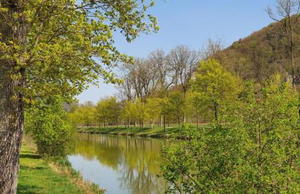Ferienwohnung Schäffer mit Klimaanlage und Freisitz im Garten - Foto 16