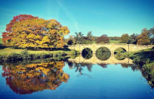 Elegant Number Two - Photo 6