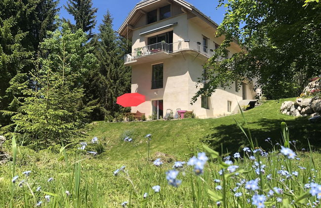 Le Moulin des Olirics - Foto 47