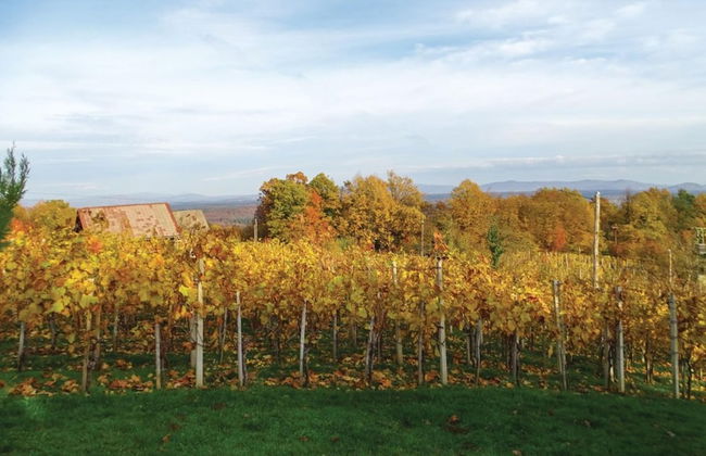 Vineyard Cottage Bahor - Foto 13