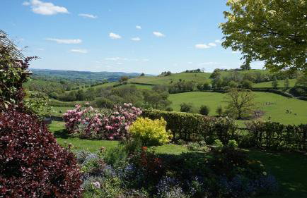 Wheat Cottage - 5* Cyfie Farm with private covered hot tub - Foto 16