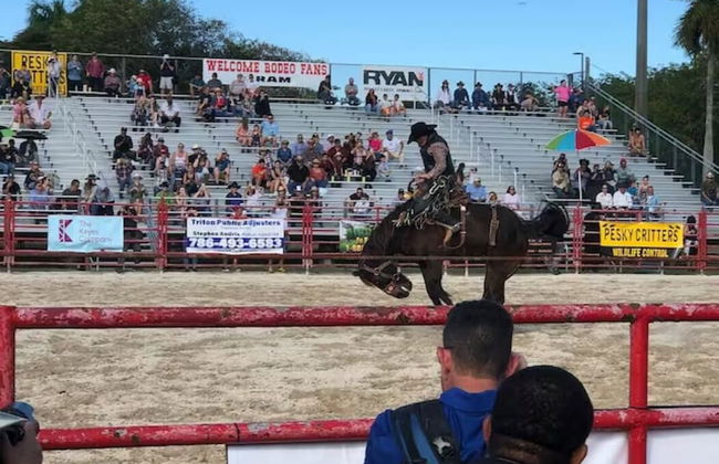 Sunset Haven: Beach Isle House FL Keys MIA Marina - Foto 28