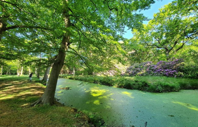 Apartment in Oostkapelle Near the Beach - Foto 29