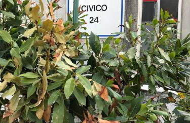 NANNARE' APPARTAMENT - Foto 17