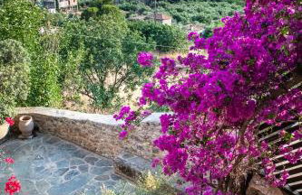 PositiveSpace Olive Tree - Foto 29