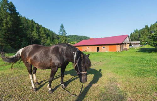 Agroturystyka u Chlebków - Photo 65