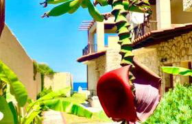 Villa Fourka on the beach - Photo 2