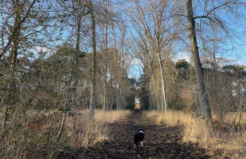 Domaine forestier Darricau au bord du lac, 12 min de l'océan - Foto 61