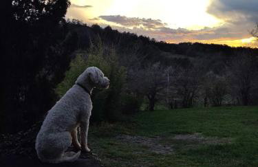 Vila Dolina - Foto 17