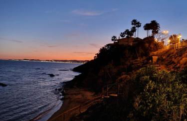 The Salamadras - Photo 35