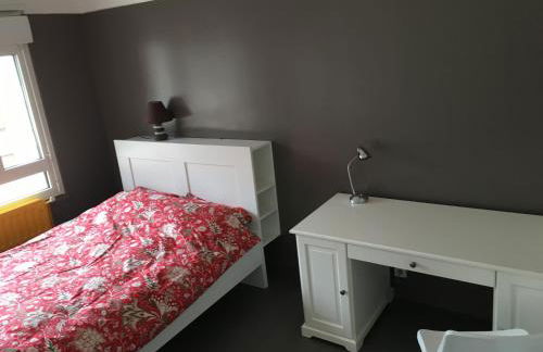 BedinReims elegant green bottle quiet and close to center free parking and wifi free ideal 5 à 9 Adultes - Foto 44