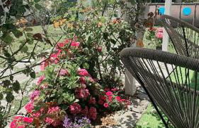 Villa SouAri 10' da Forte de Marmi - 2km spiaggia - Foto 17