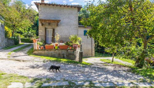 Holiday Home Il Mulinaccio by Interhome - Foto 2