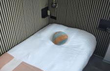 Studio rénové Nancy Brabois, proche CHRU campus - Foto 22