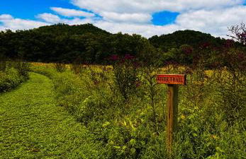 Three Suns Full Rental | 8 Cabins | Views | River - Foto 50