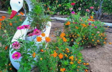 EVIA RIVIERA - Photo 61