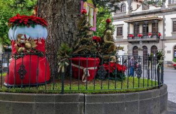 Casa Norb Teror - Foto 30