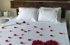 Cabana Linha Brasil - Foto 22